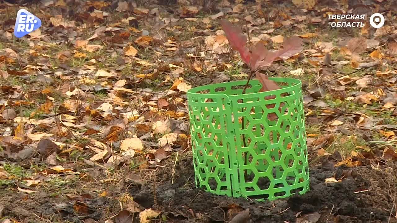 В регионах отмечают День народного единства