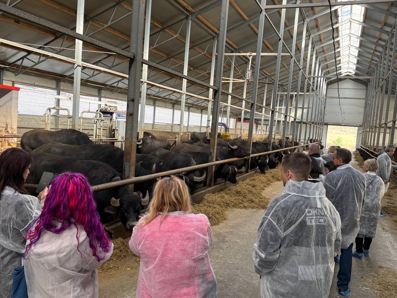 Ставрополь презентовал свой туристический потенциал ведущим туроператорам России Ставрополь презентовал свой туристический потенциал ведущим туроператорам России