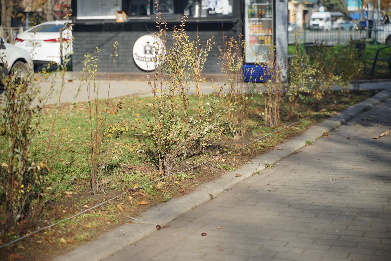 Для жителей микрорайона улицы Октябрьской День народного единства прошёл и с пользой, и радостью! Для жителей микрорайона улицы Октябрьской День народного единства прошёл и с пользой, и радостью!