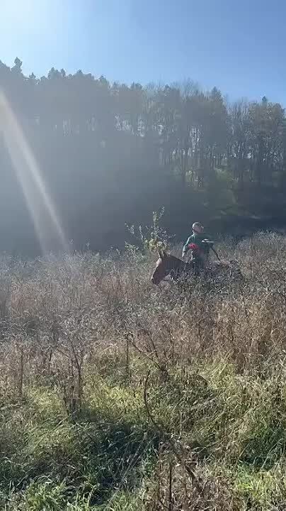     &quot; &quot;         !