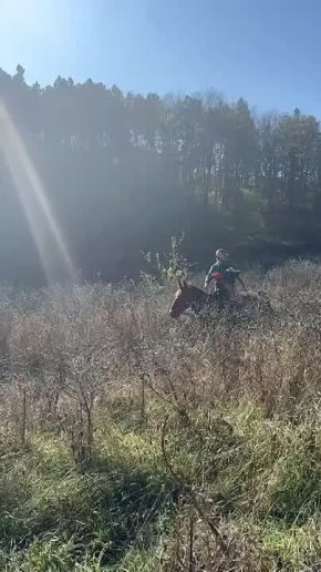 Всадники из Центра иппотерапии "Целебный Ессентуки" отличились на региональных соревнованиях по конной стрельбе из лука!