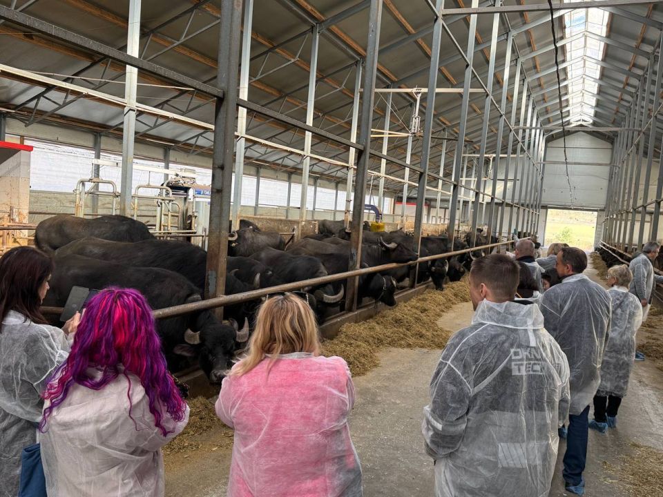 Ставрополь «проверили» ведущие туроператоры России — и остались под впечатлением Ставрополь «проверили» ведущие туроператоры России — и остались под впечатлением