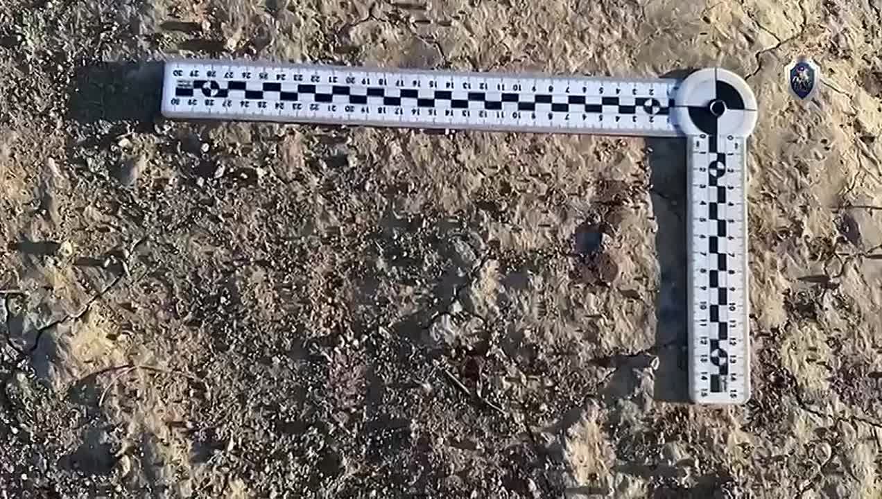 Председателю СК России доложат о ходе расследования уголовного дела по факту смерти подростка в Ставропольском крае