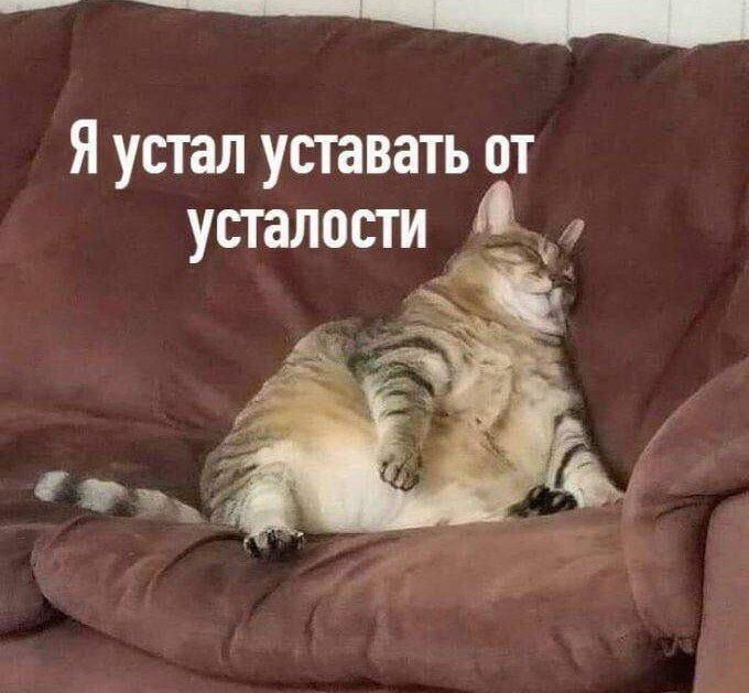 Ставропольцы, ну как вы там после выходных?