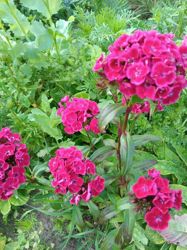 Сквозь призму успеха: как косметология порождает цинизм в обществе