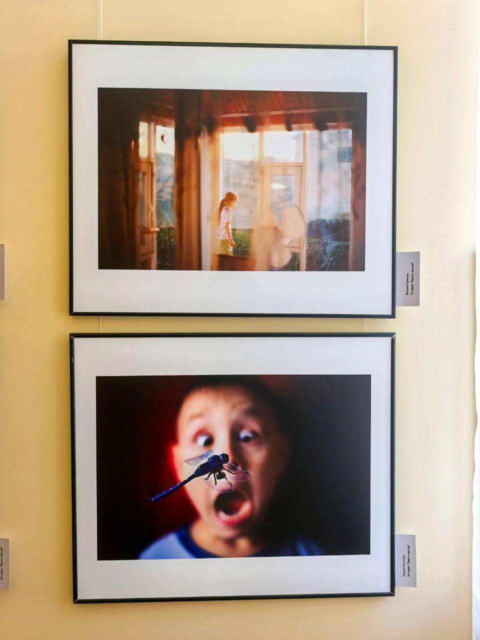 В Ставрополе в зале изомузея открылась групповая выставка «Взгляд через объектив» В Ставрополе в зале изомузея открылась групповая выставка «Взгляд через объектив»