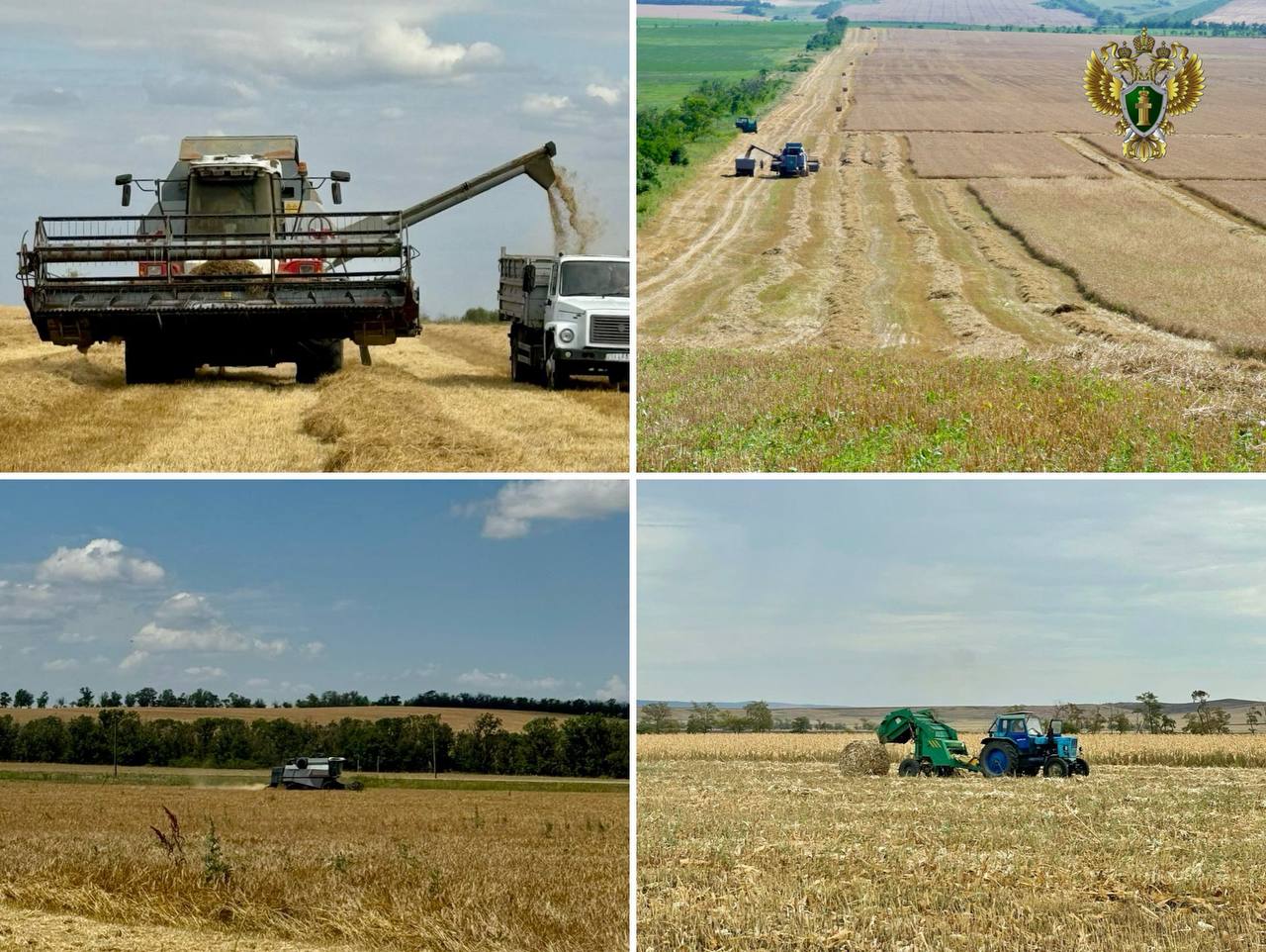По требованию прокуратуры директор психоневрологического интерната уволен в связи с утратой доверия