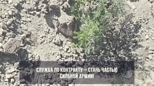 Служба по контракту – заключи в Ставропольском крае!