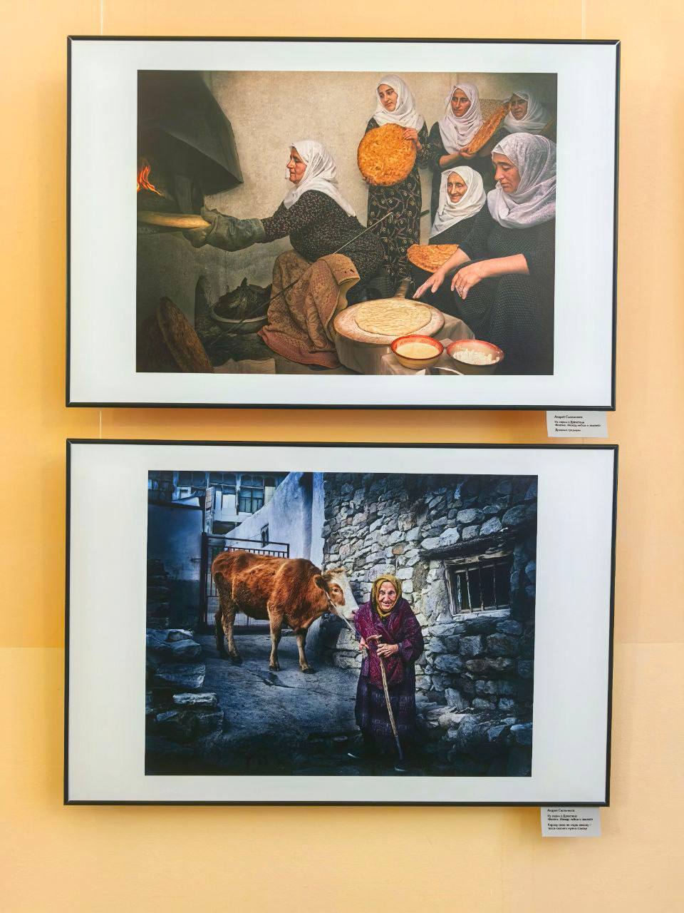 В Ставрополе в зале изомузея открылась групповая выставка «Взгляд через объектив» В Ставрополе в зале изомузея открылась групповая выставка «Взгляд через объектив»