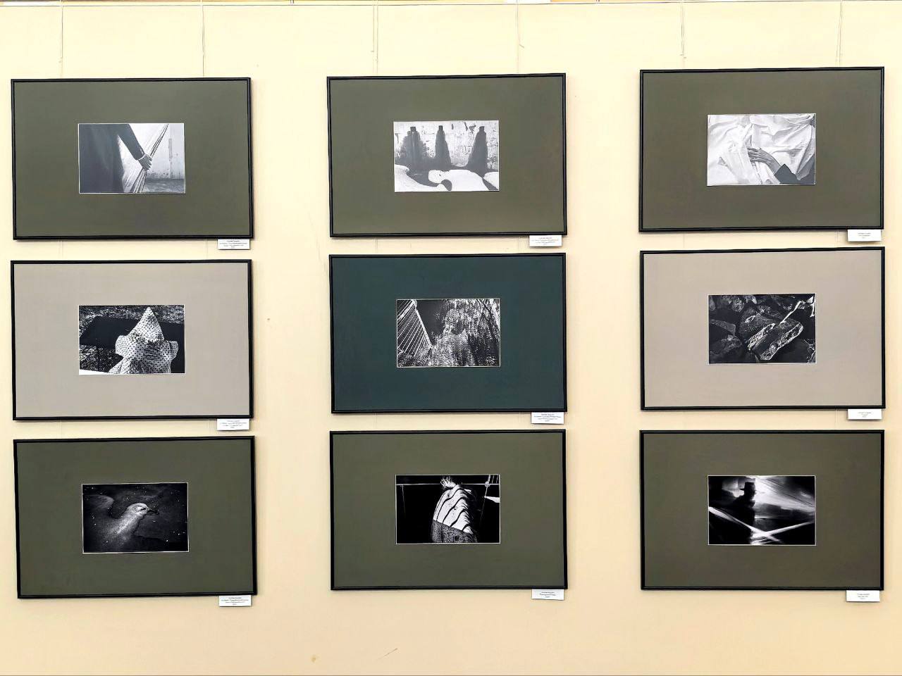 В Ставрополе в зале изомузея открылась групповая выставка «Взгляд через объектив» В Ставрополе в зале изомузея открылась групповая выставка «Взгляд через объектив»