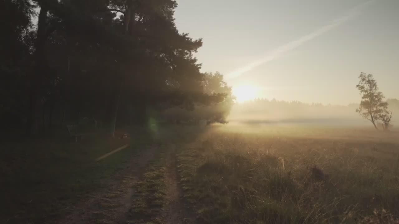 По данным синоптиков, завтра на Ставрополье утром местами морось, туман, днем преимущественно без осадков