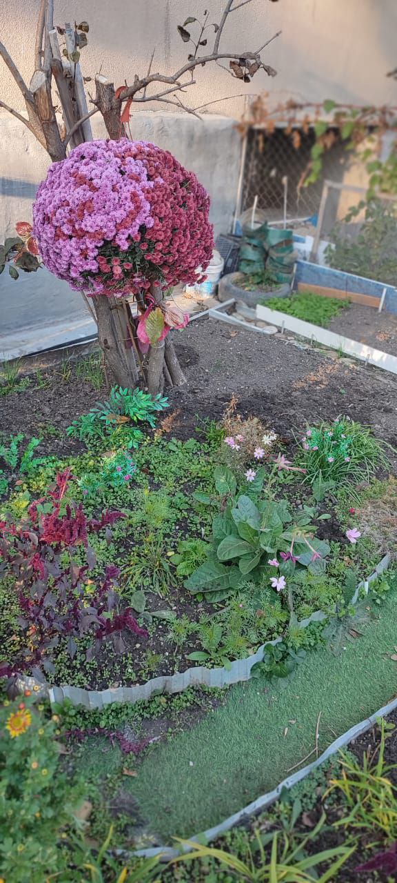 Яркие краски курортного дворика Яркие краски курортного дворика