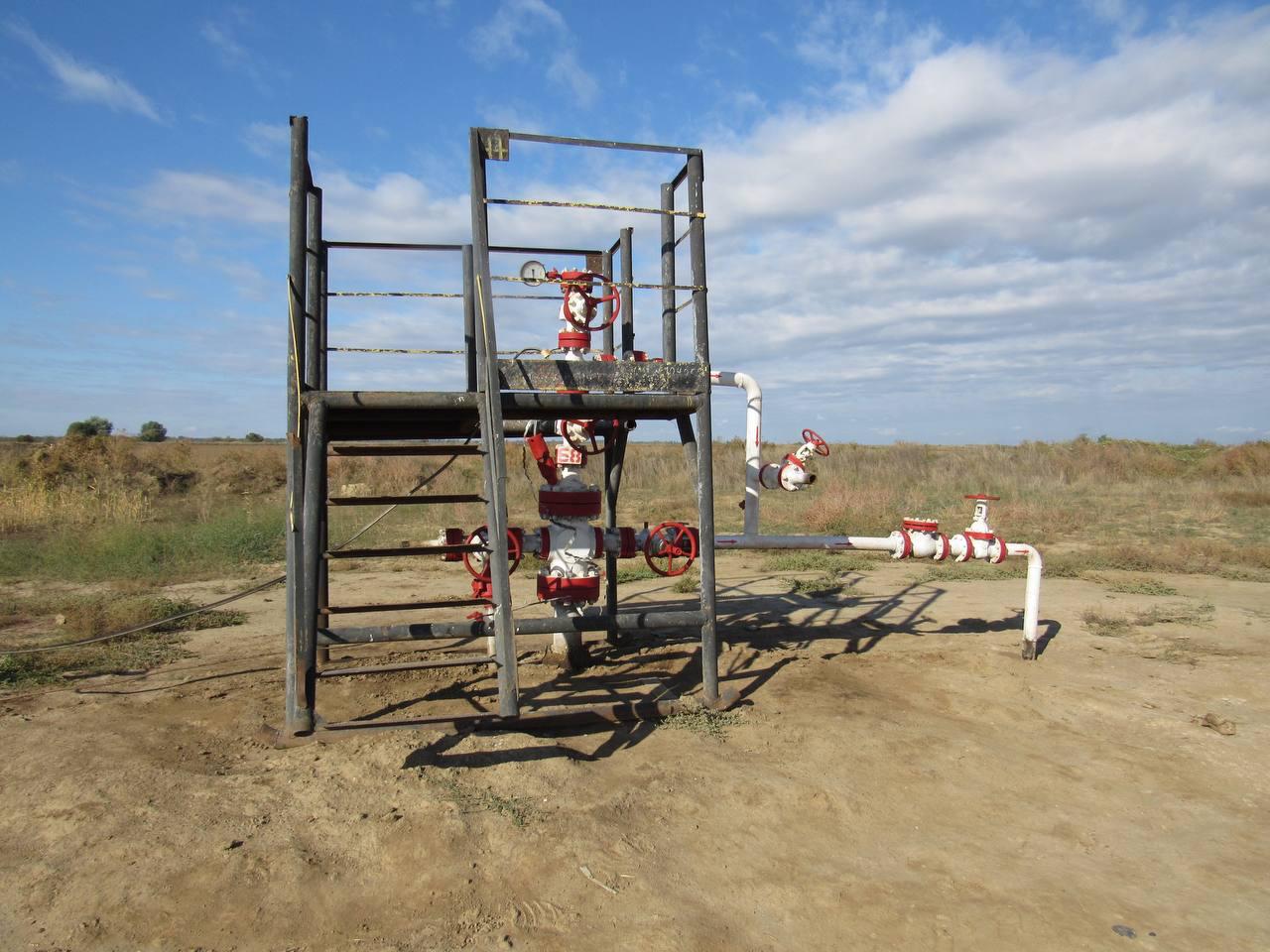 Жители Ставрополья подозреваются в хищении национальных биоресурсов Жители Ставрополья подозреваются в хищении национальных биоресурсов