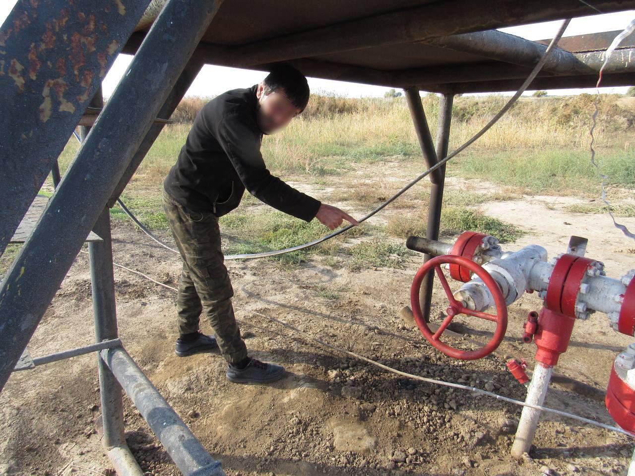 Жители Ставрополья подозреваются в хищении национальных биоресурсов