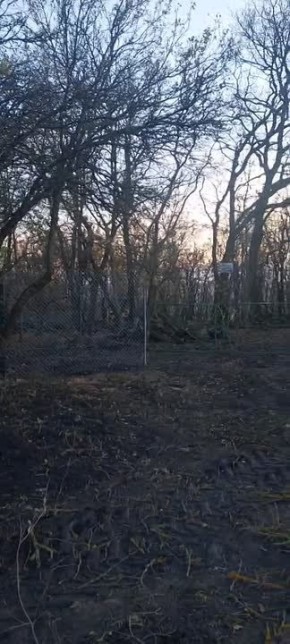 Жителей Шпаковского округа обеспокоила вырубка деревьев в селе Татарка