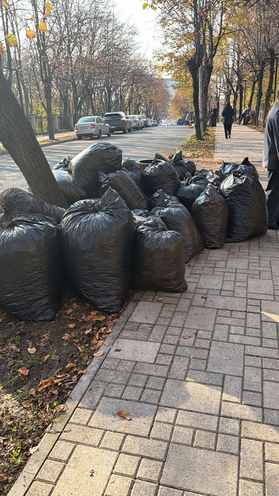 Субботник в Ессентуках: вклад в чистоту нашего города! Субботник в Ессентуках: вклад в чистоту нашего города!