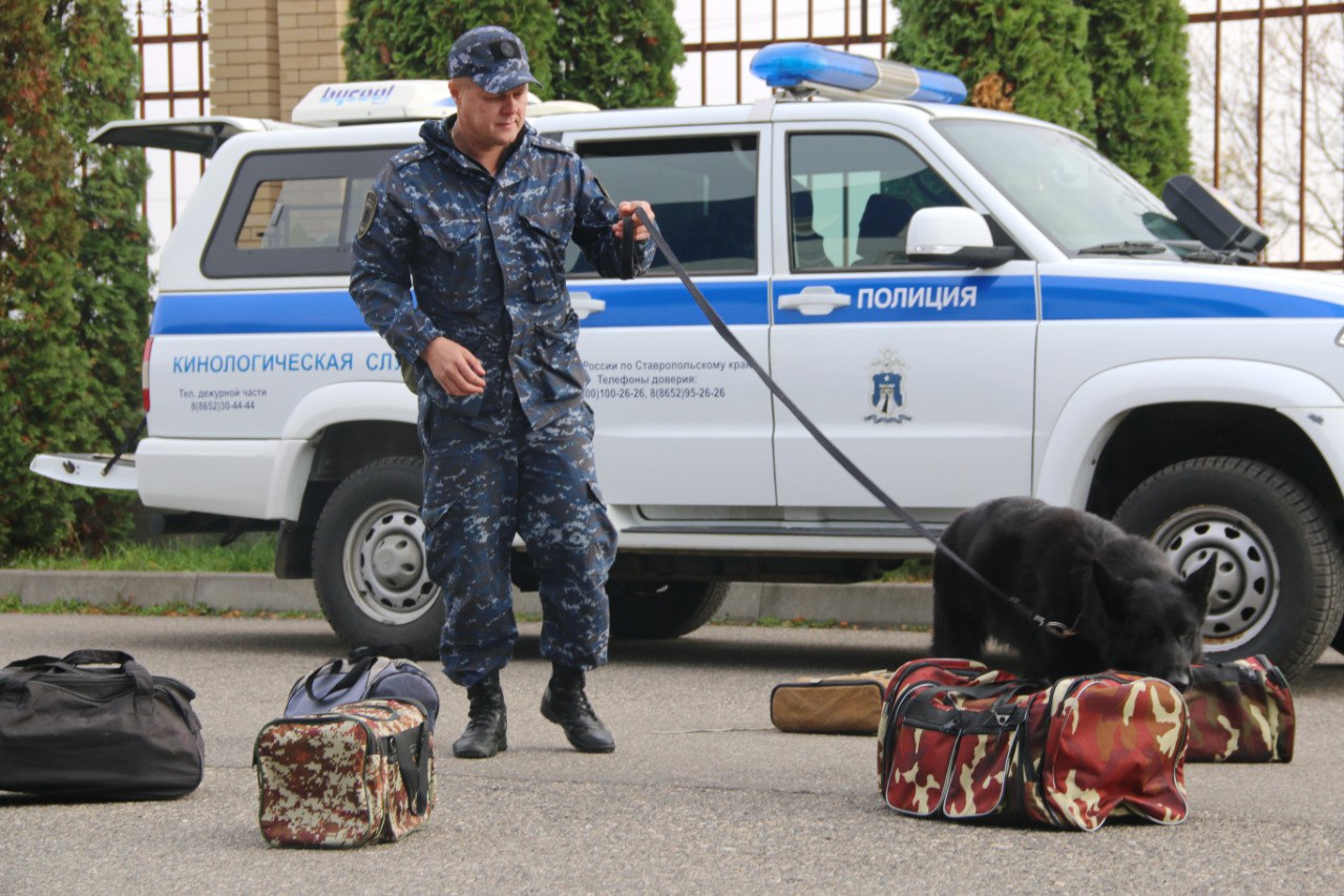 В Минеральных Водах состоялся масштабный культурно-спортивный конкурс среди семей сотрудников органов внутренних дел В Минеральных Водах состоялся масштабный культурно-спортивный конкурс среди семей сотрудников органов внутренних дел