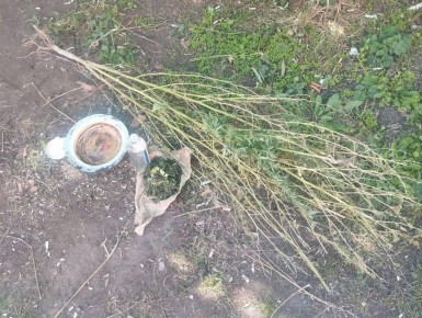 Жителя Новоалександровска будут судить за хранение конопли