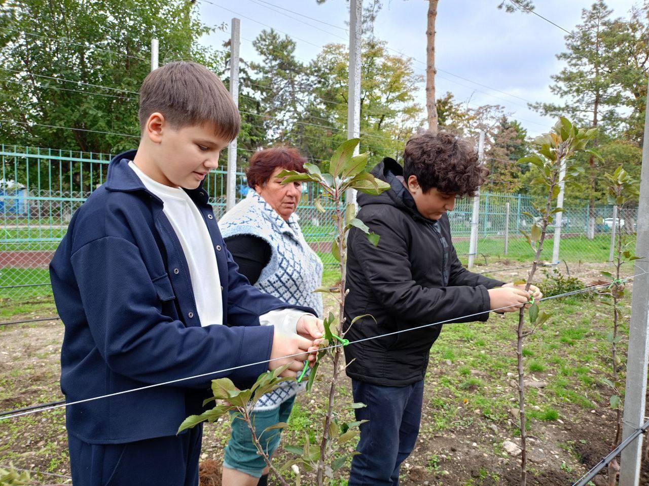 Дмитрий Ворошилов: Первый в Пятигорске суперинтенсивный школьный сад заложен в станице Константиновской Дмитрий Ворошилов: Первый в Пятигорске суперинтенсивный школьный сад заложен в станице Константиновской