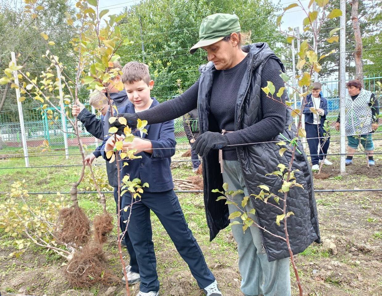 Дмитрий Ворошилов: Первый в Пятигорске суперинтенсивный школьный сад заложен в станице Константиновской Дмитрий Ворошилов: Первый в Пятигорске суперинтенсивный школьный сад заложен в станице Константиновской