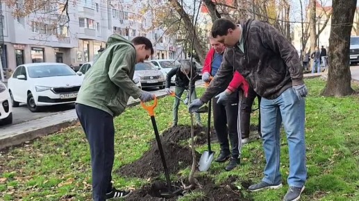 Иван Ульянченко: Пока погода позволяет, продолжаем осеннюю высадку деревьев