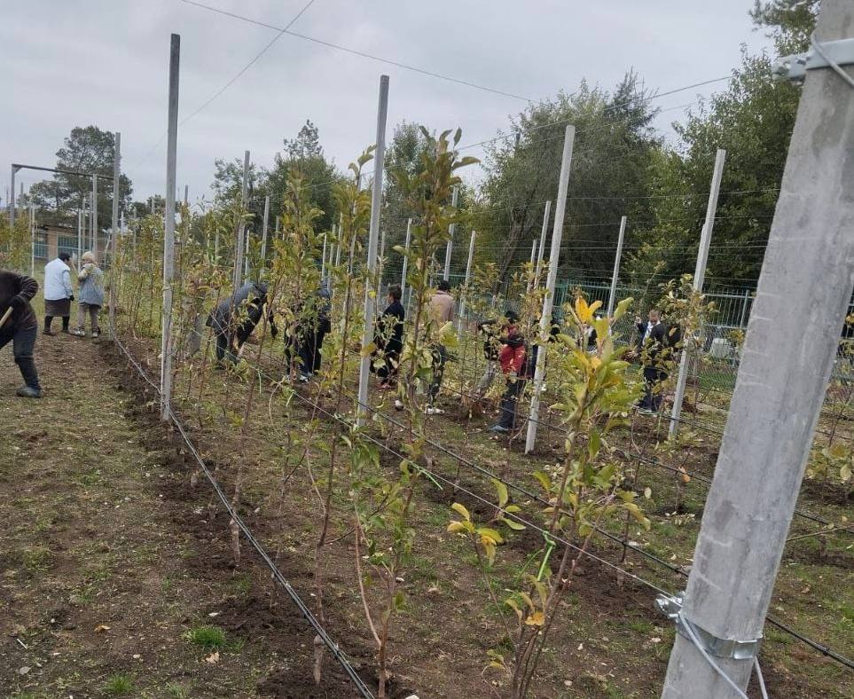 Дмитрий Ворошилов: Первый в Пятигорске суперинтенсивный школьный сад заложен в станице Константиновской Дмитрий Ворошилов: Первый в Пятигорске суперинтенсивный школьный сад заложен в станице Константиновской