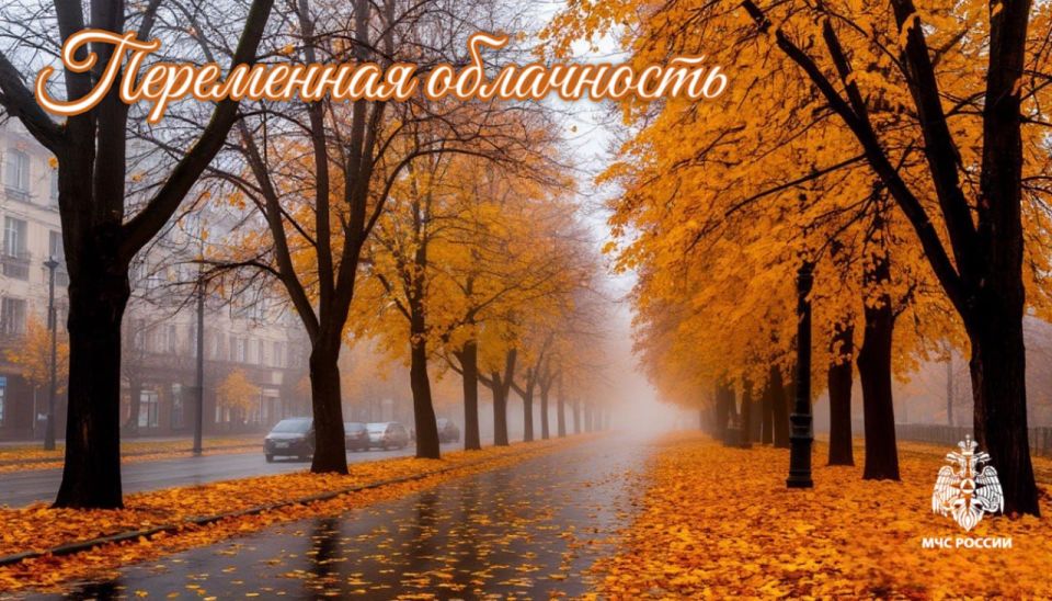 #26.    : 9     ,    - , ,    