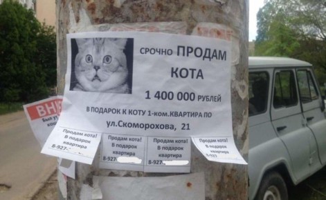 В МВД назвали 7 популярных мошеннических объявлений