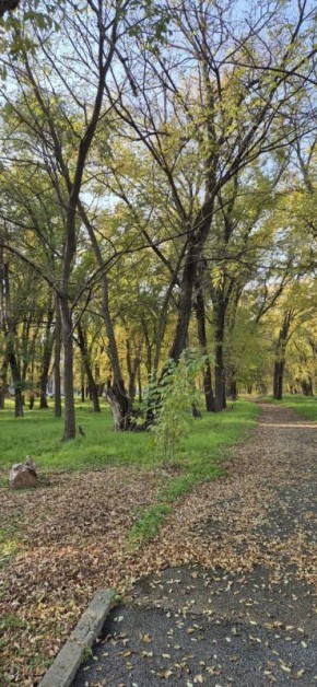 Выходные в Солнечнодольске
