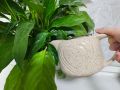 Чудо-чай из луковой шелухи: секреты здоровья для комнатных растений