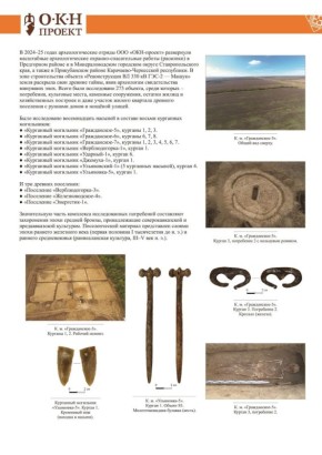 Предметы раннего железного века нашли при раскопках на Ставрополье