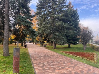 Ставрополь продолжает встречать необычно тёплый ноябрь