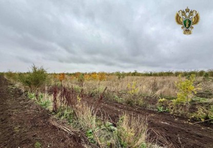 . По требованию прокуратуры устранены нарушения законодательства об охране окружающей среды