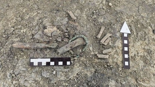 Древний квартал и мощеную улицу нашли при раскопках на Ставрополье