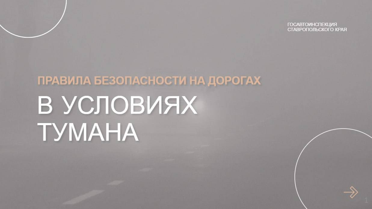 Госавтоинспекция напоминает о правилах безопасности на дорогах в условиях тумана