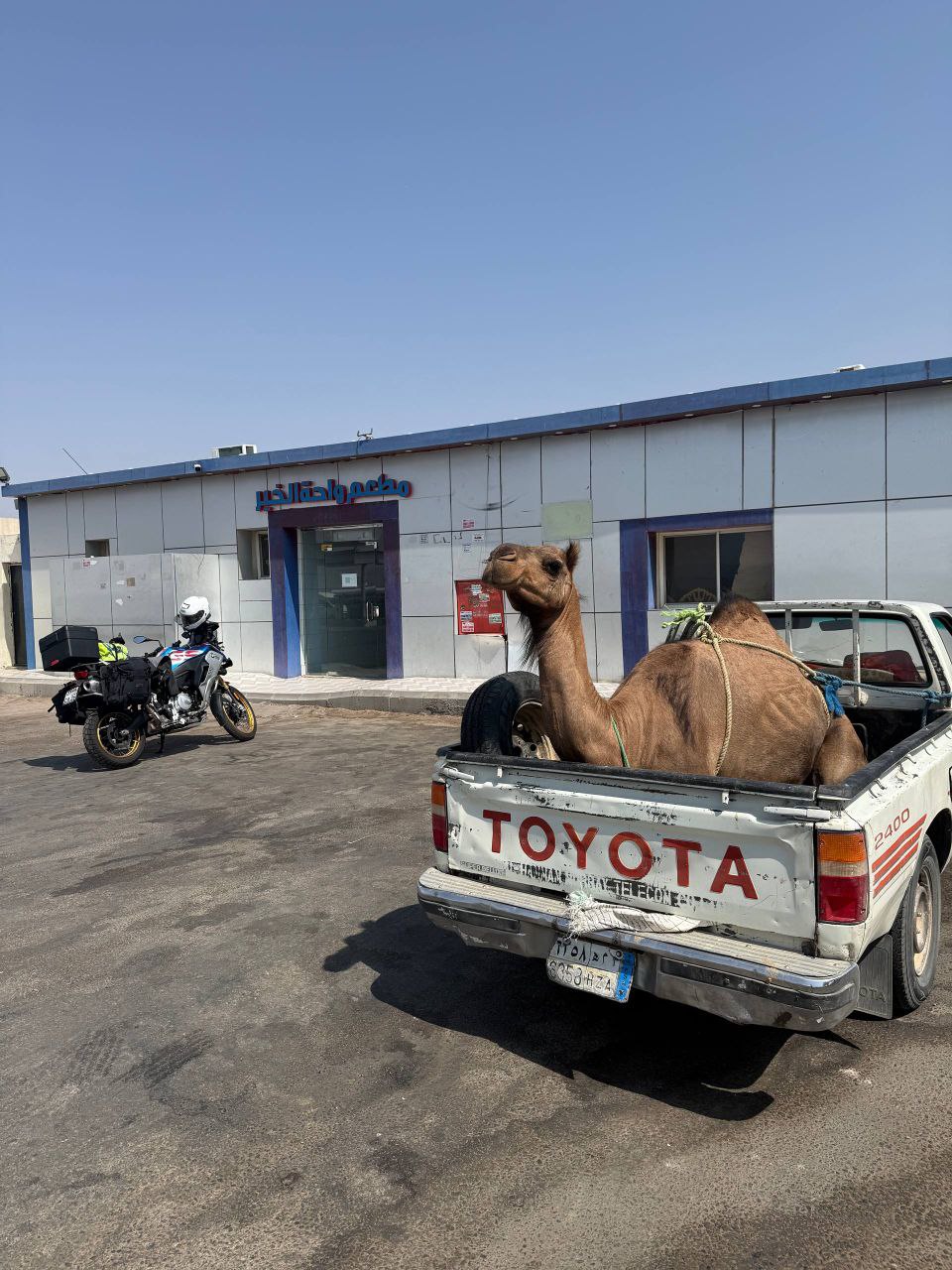Авантюрист из Ставрополя совершил невероятное паломничество на мотоцикле Авантюрист из Ставрополя совершил невероятное паломничество на мотоцикле
