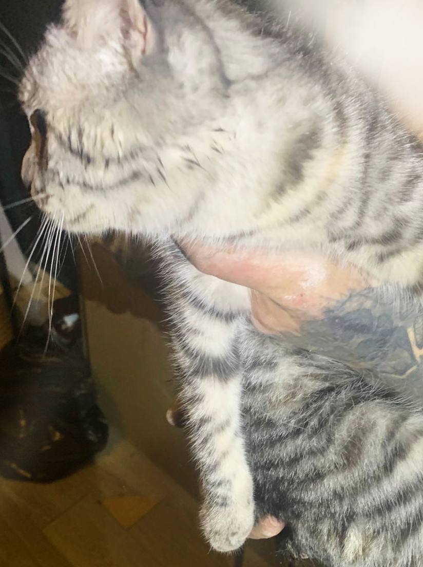 Это пучеглазое чудо вчера упало в шестиметровую шахту в селе Левокумском Это пучеглазое чудо вчера упало в шестиметровую шахту в селе Левокумском