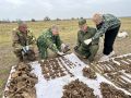 В Курском округе нашли останки бойцов Красной Армии