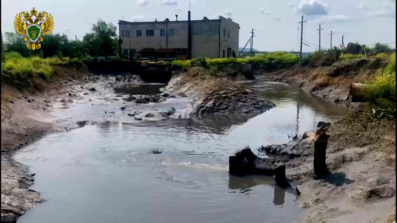 По материалам прокурорской проверки возбуждено уголовное дело о причинении ущерба окружающей среде на сумму свыше 19 млн рублей