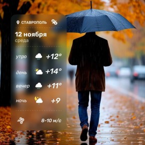 Доброе утро!. Сегодня жителям Ставрополя может понадобиться зонт