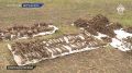 Останки бойцов Красной Армии обнаружены на Ставрополье