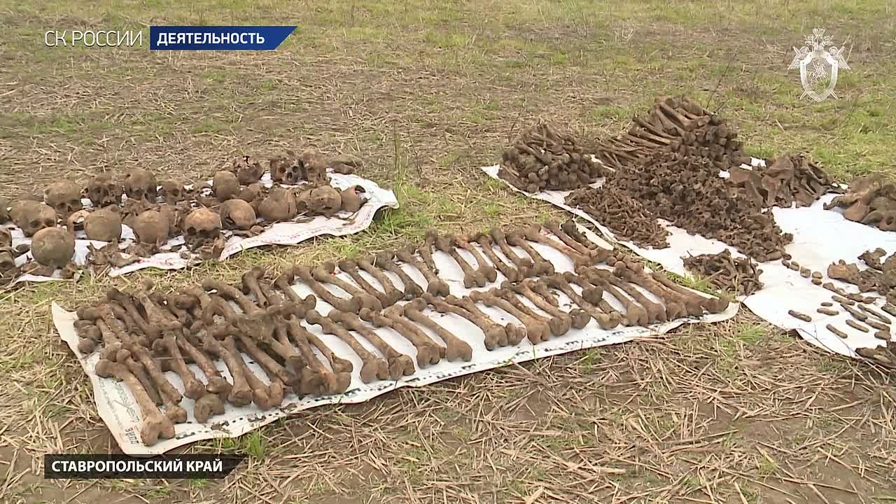В Ставропольском крае сотрудниками СК России в рамках поисковых работ обнаружены останки бойцов Красной Армии