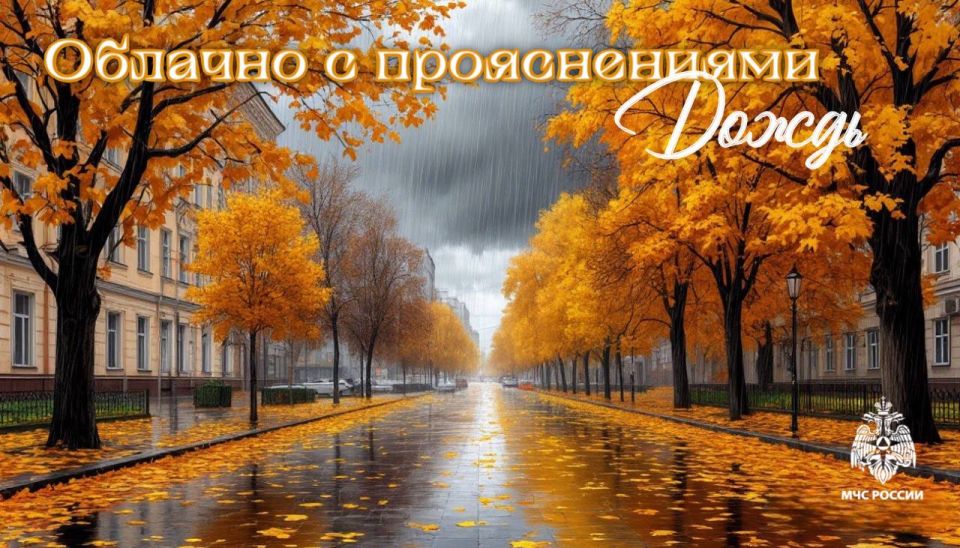 #26.    : 14      ,   (- ,  )