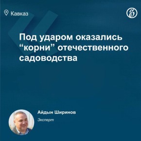 Европейский Союз в рамках 19-го пакета антироссийских санкций запретил экспорт в Россию некоторых видов товаров, необходимых для развития в нашей стране цветоводства и садоводства