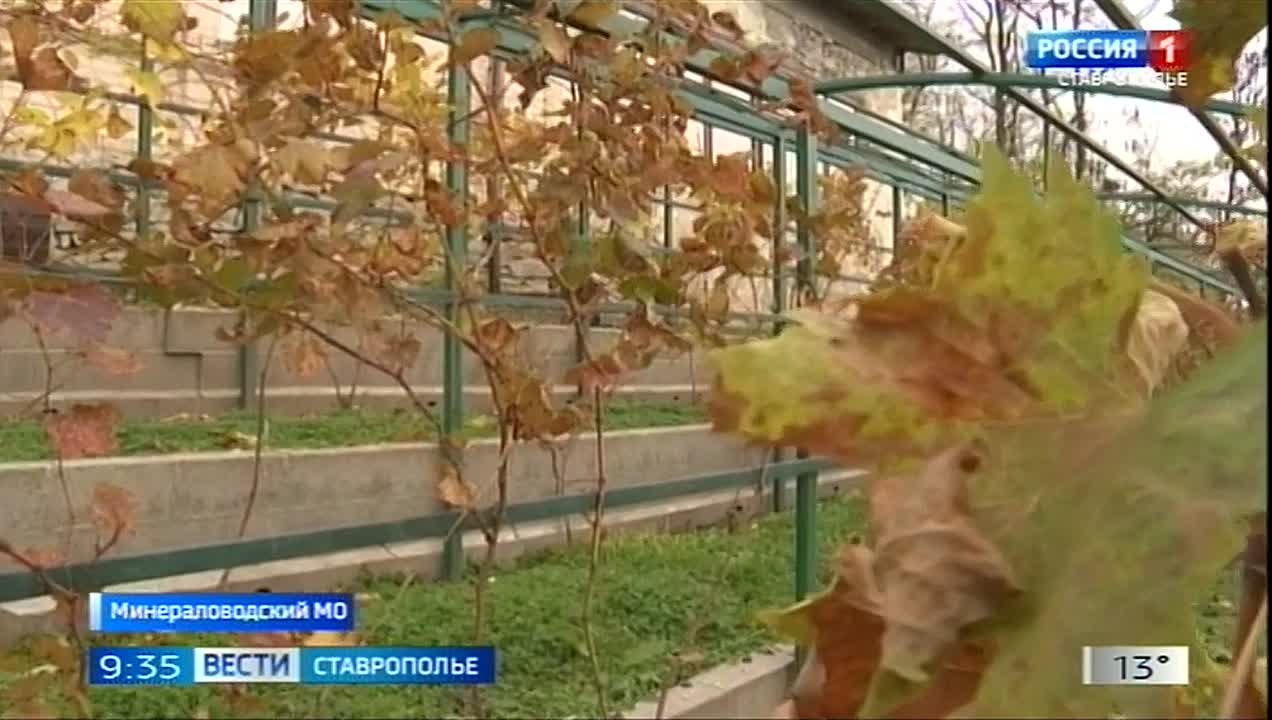 Ставропольские производители алкоголя внедряют современные технологии и совершенствуют рецептуру продукции