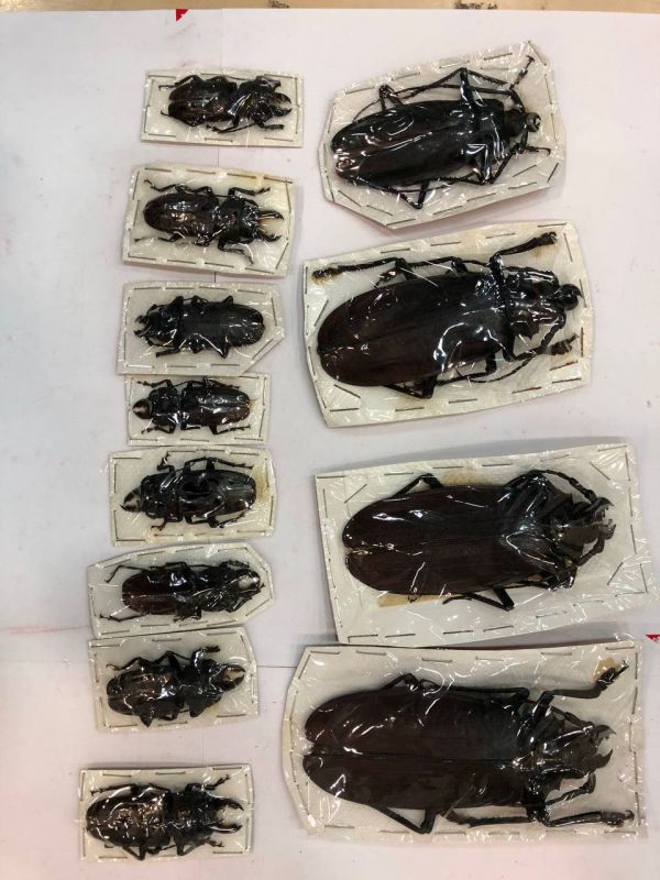 -  -        -        1,5  