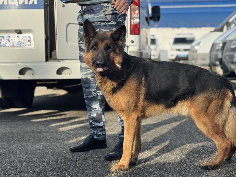 Полицейские Ставрополя провели экскурсию для учеников кадетского класса Полицейские Ставрополя провели экскурсию для учеников кадетского класса