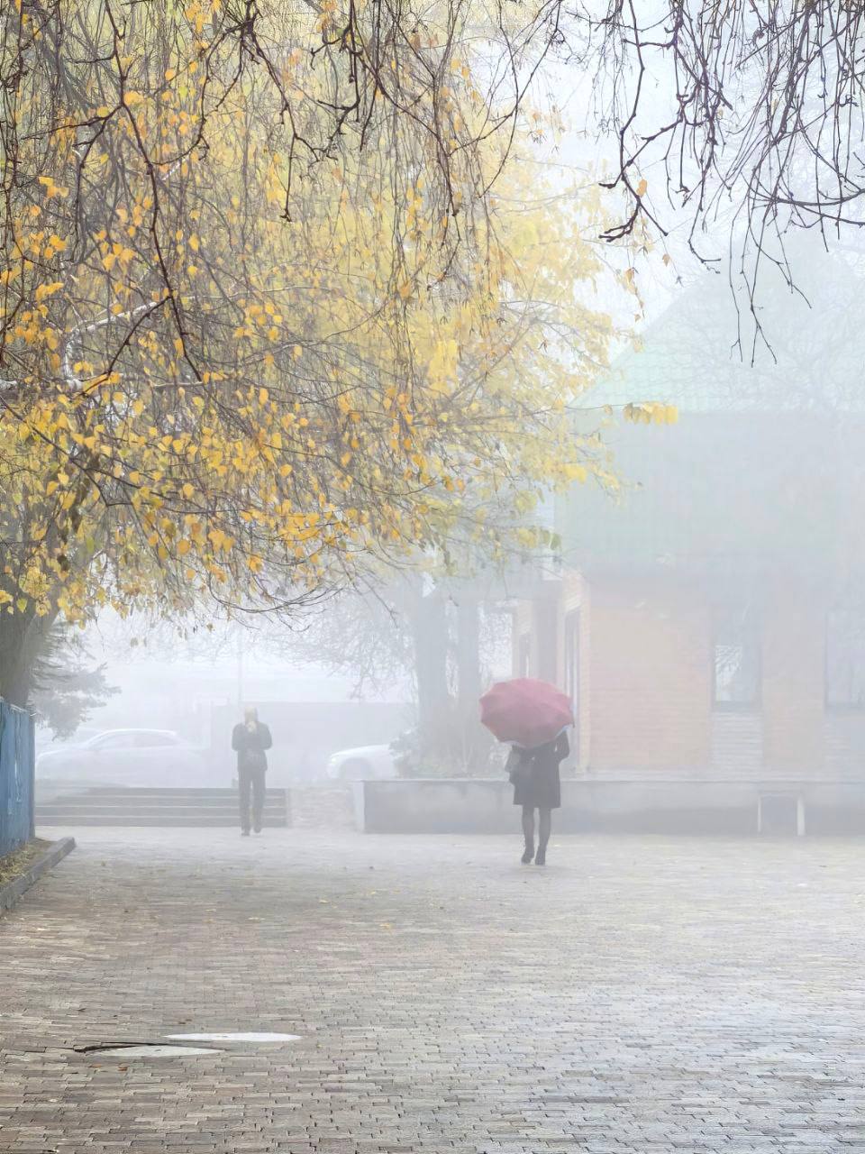 Туманное утро в Ставрополе Туманное утро в Ставрополе