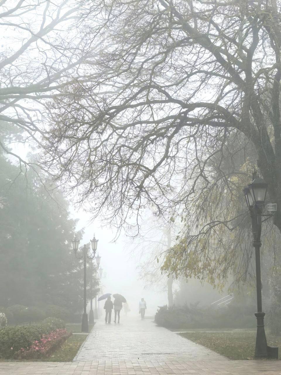 Туманное утро в Ставрополе Туманное утро в Ставрополе