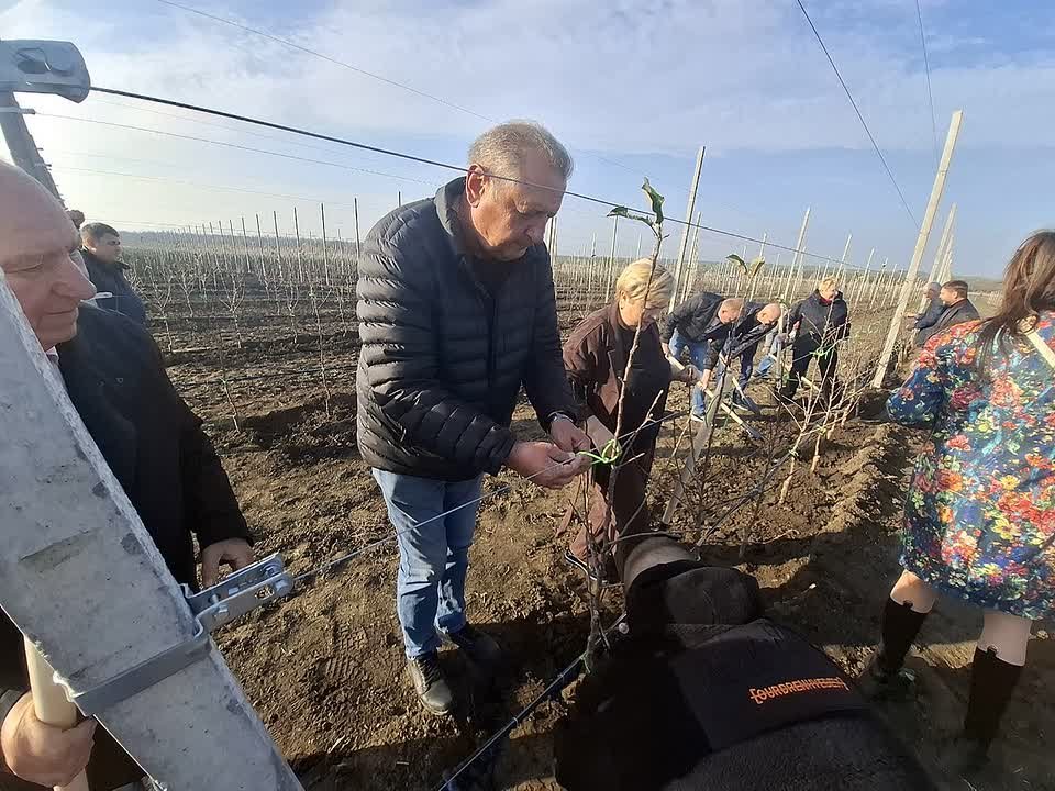 Коротко о работе депутатов вне стен парламента